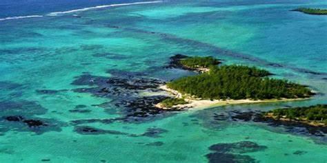 Sea Dreams: Bernache & Amber Island
