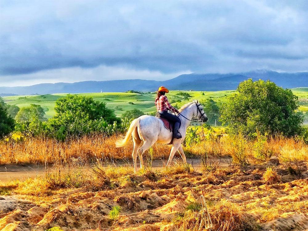 Nature Ride: Peaceful Horseback Escape in Southern Mauritius