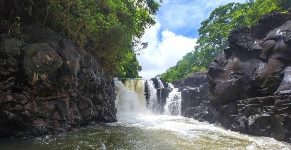 Speedboat: 5 Islands Discovery – Île aux Aigrettes, Île Phare, Île aux Flamants, Île de la Passe & Île aux Cerfs
