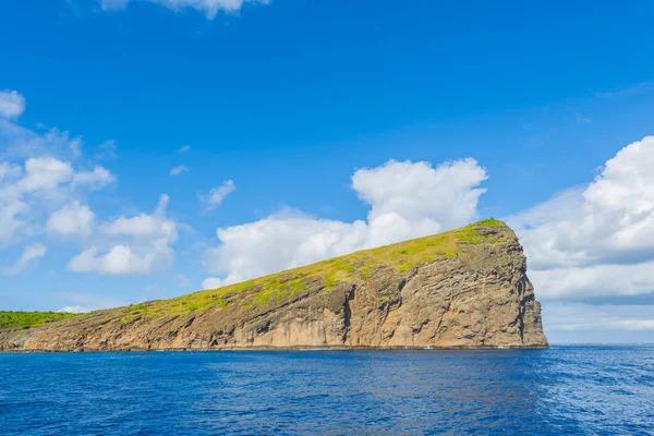 Speedboat: 3 Northern Islands Adventure – Coin de Mire, Île Plate & Île aux Gabriel