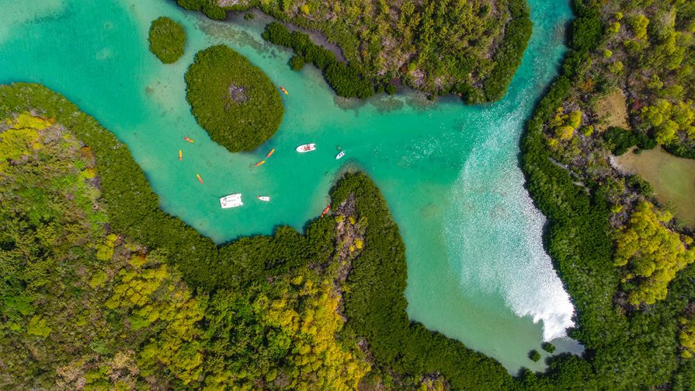 Kayak: Île d’Ambre & Mangroves