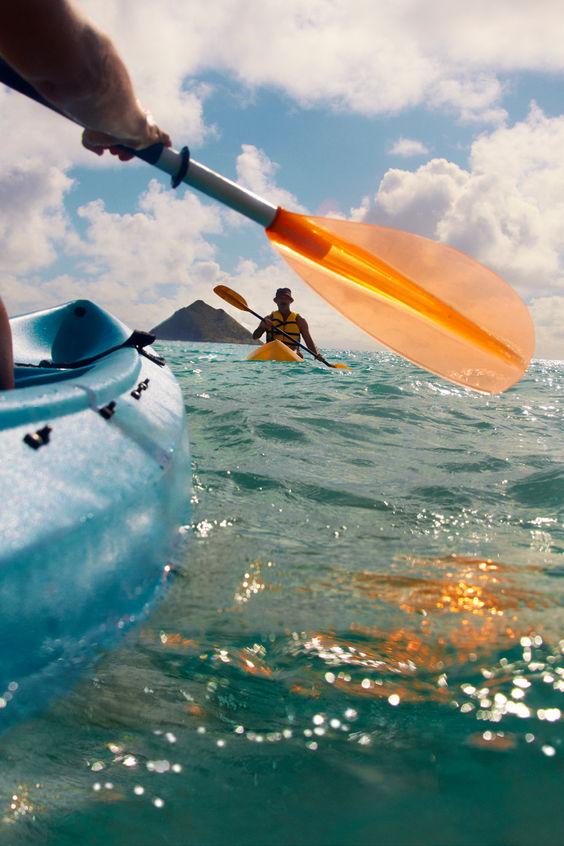 Kayak: Tamarin River Adventure