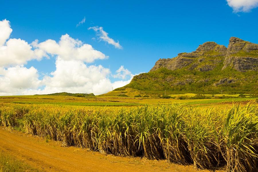Discovering the Rich History of Mauritius