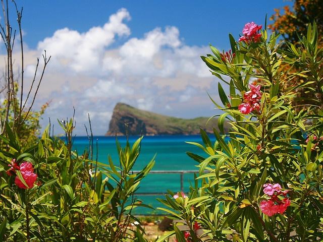 Feel the Island Vibe: 5 Reasons Why Mauritius Will Steal Your Heart