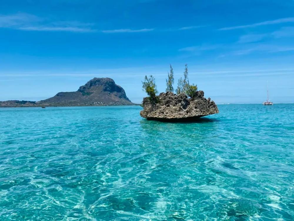 Adrenaline: Speedboat to Île aux Benitier