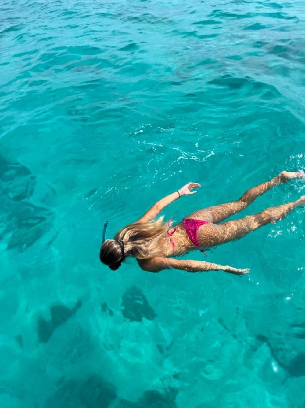 Speedboat: Dolphins, Crystal Rock & Île aux Bénitiers