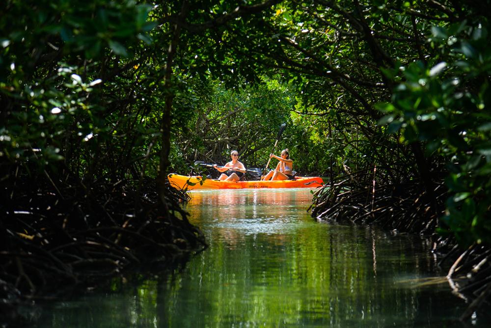 Kayak: Île d’Ambre & Mangroves