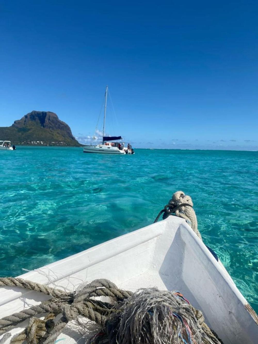 Speedboat: Private Dolphin Encounter