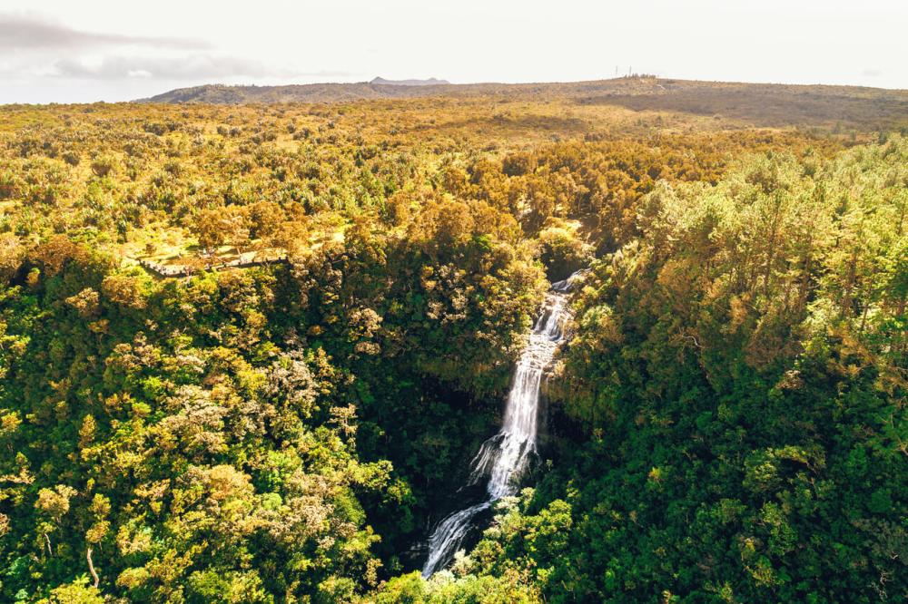 Mauritius South Highlights Tour: Waterfalls & Scenic Viewpoints