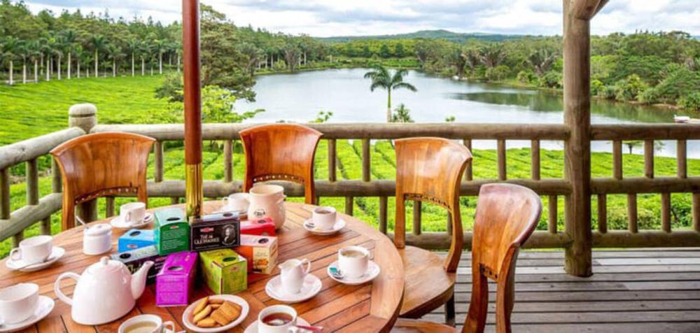 Mauritius Tea Route Tour: Aubineaux, Bois Chéri & Saint Aubin