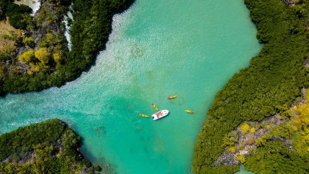 Kayak: Île d’Ambre & Mangroves
