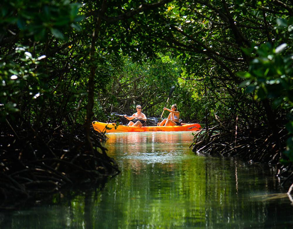 Kayak: Île d’Ambre & Mangroves