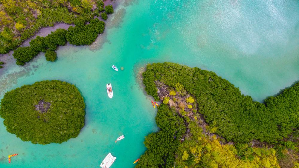 Kayak: Île d’Ambre & Mangroves