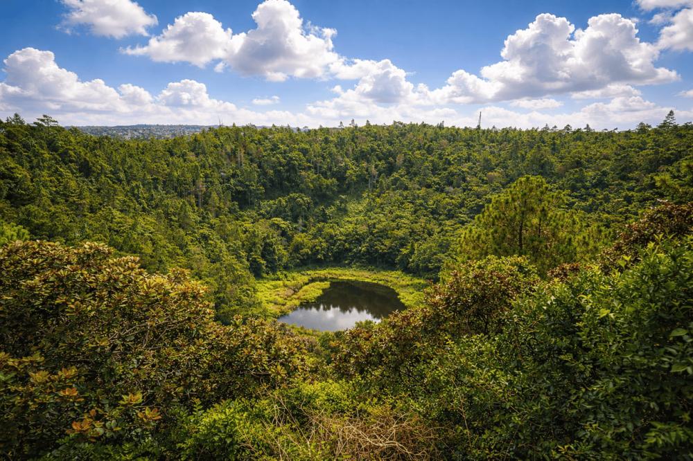 Mauritius: South Nature Tour with Scenic Viewpoints