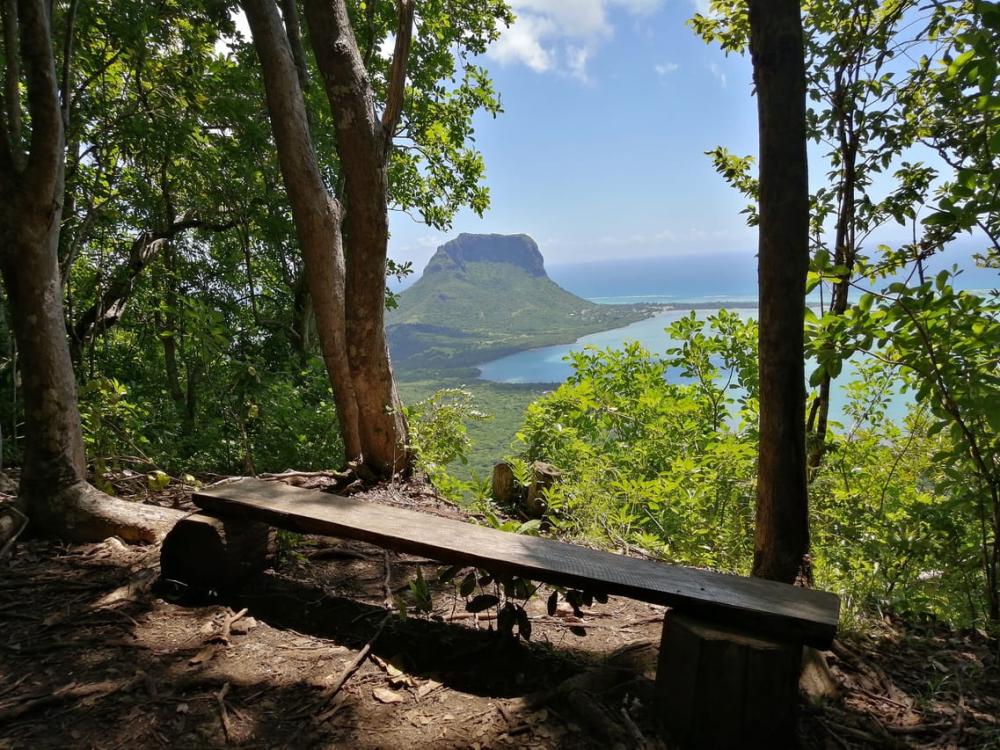 Mauritius: Ebony Forest & Le Morne Beach Tour