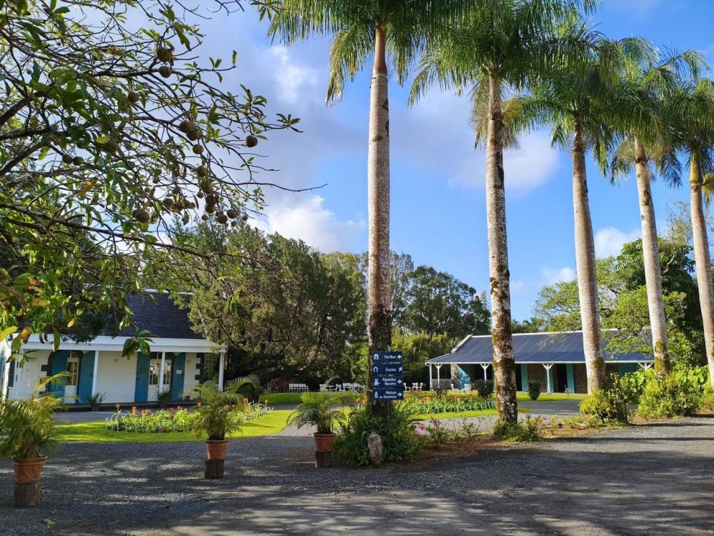 Mauritius Tea Route Tour: Aubineaux, Bois Chéri & Saint Aubin