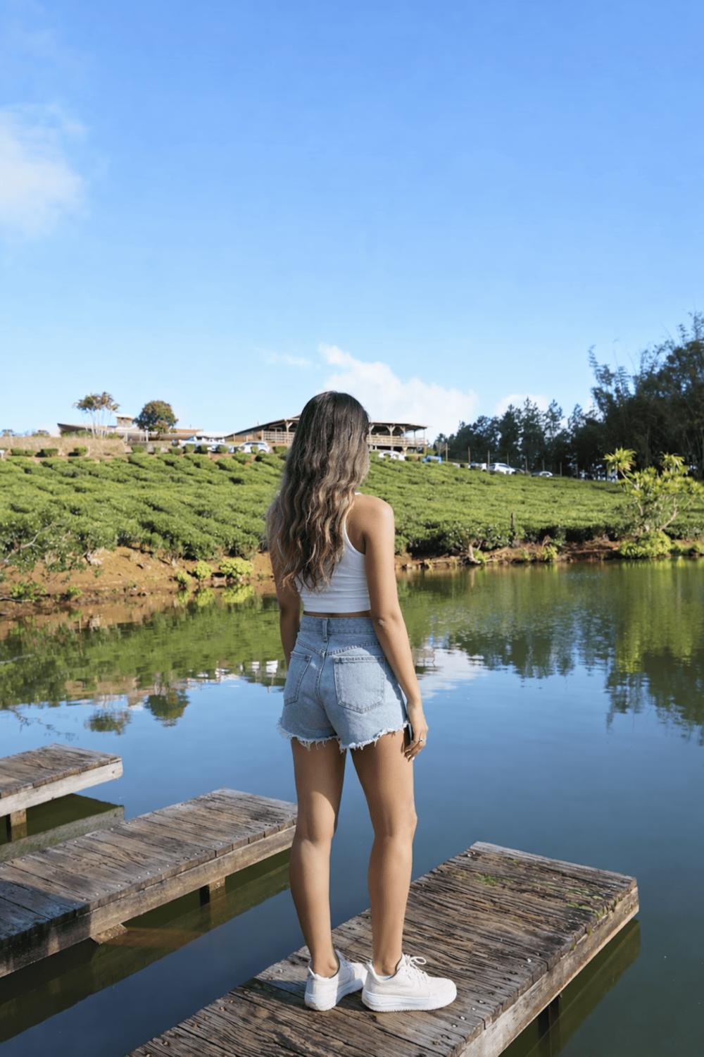 Mauritius Sacred Lake, Waterfalls & Tea Plantation Full-Day Tour