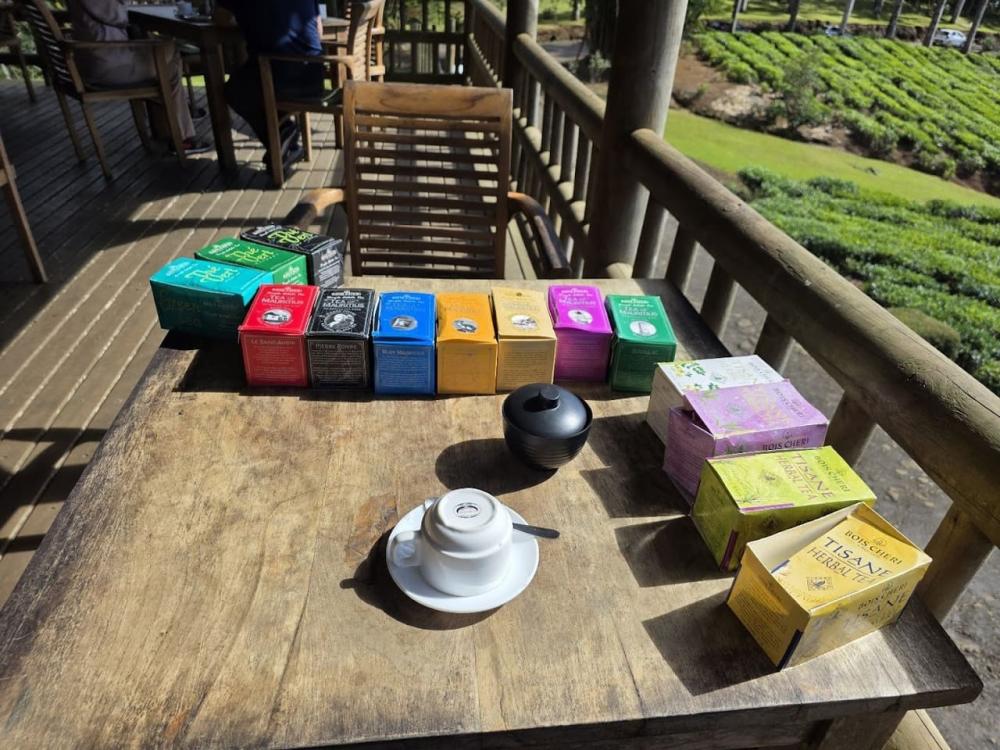 Mauritius Sacred Lake, Waterfalls & Tea Plantation Full-Day Tour