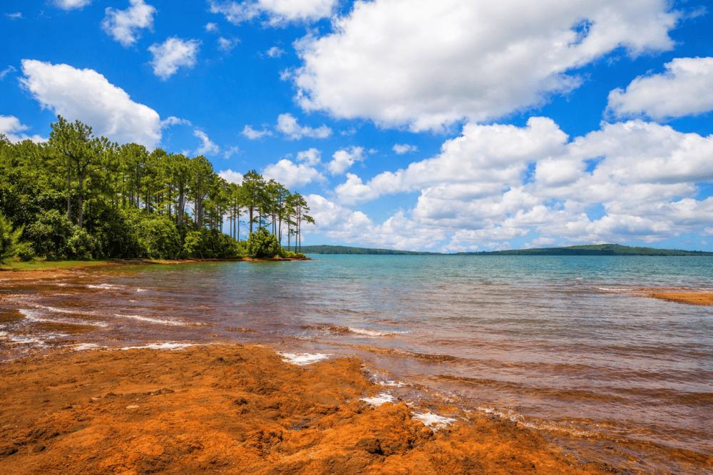 Circuit Sud Classique Île Maurice Grand Bassin Black River Gorges et Trou aux Cerfs