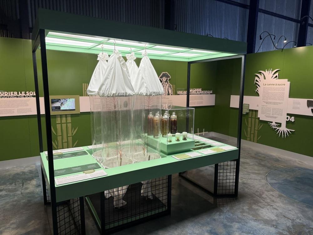 North Mauritius Museum & Château Cultural Tour