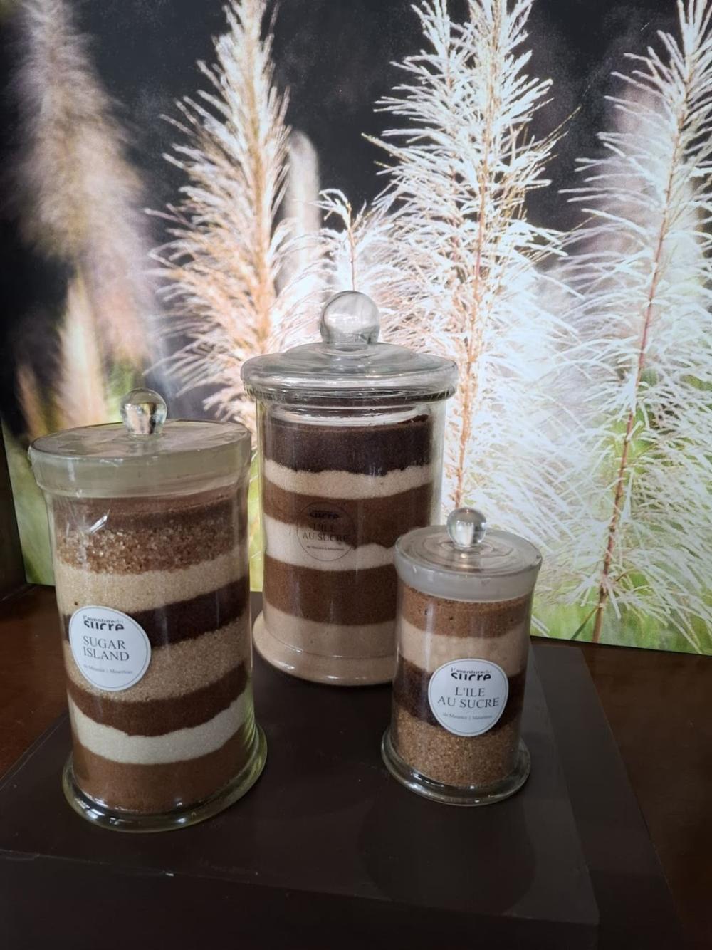 North Mauritius Museum & Château Cultural Tour