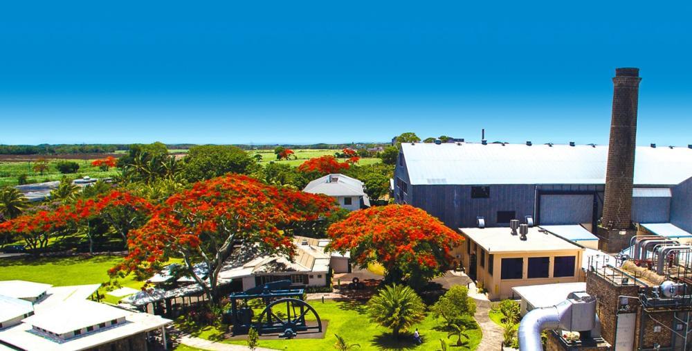 North Mauritius Cultural Discovery & Beach Day