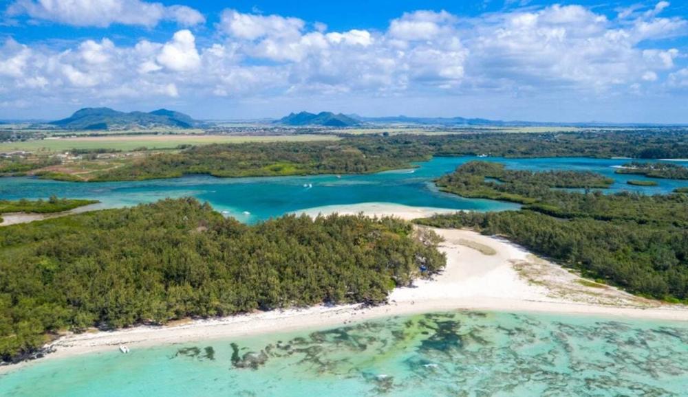 Catamaran: Île aux Cerfs Cruise via GRSE Waterfall