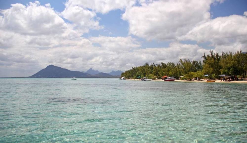 Catamaran: Crystal Rock, Dolphins & Île aux Bénitiers