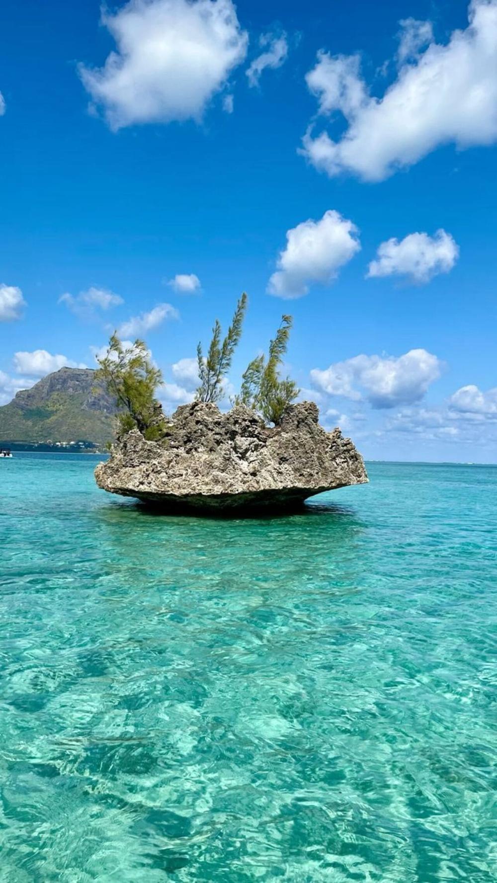 Catamaran: Rocher Cristal, Dauphins & Île aux Bénitiers