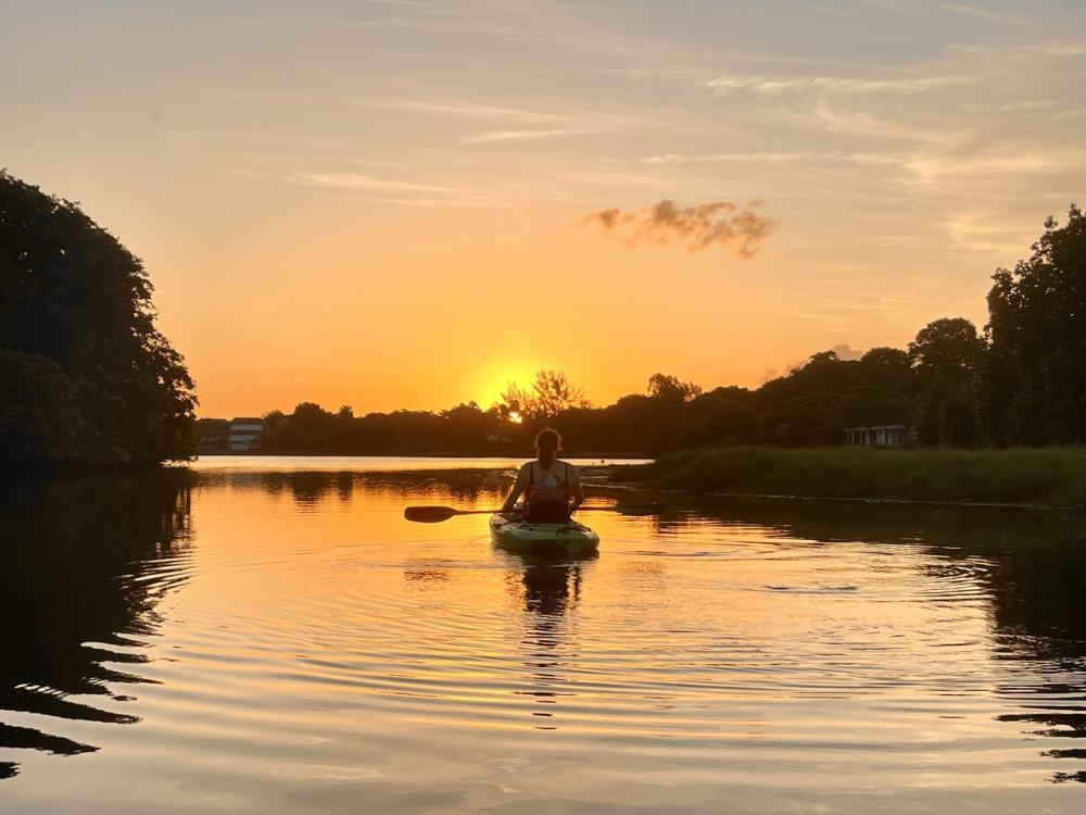 Kayak: Sunset Adventure on the Tamarin River
