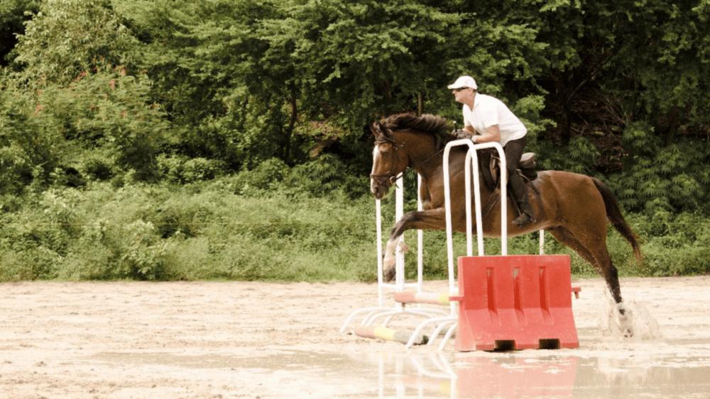 Le Morne Mauritius: Horse Riding Initiation