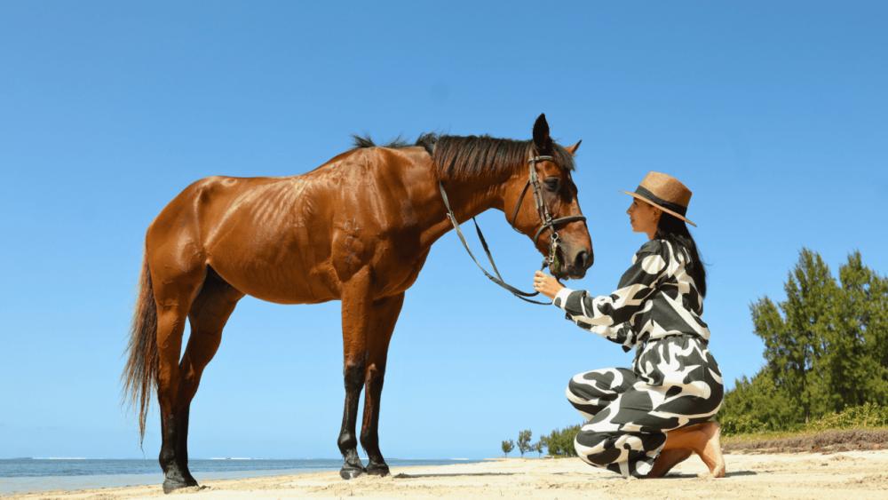 Le Morne Mauritius:  Beach Horse Riding Experience