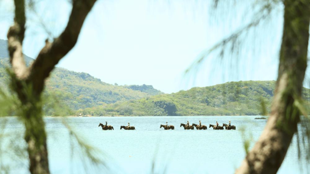 Le Morne Mauritius: Swim with Horses Experience