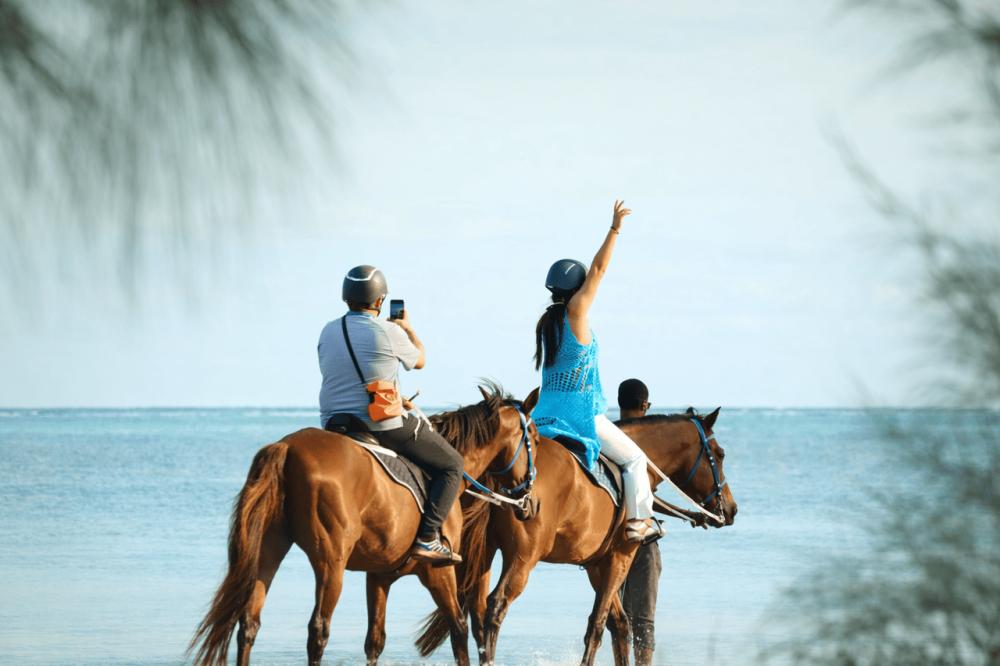 Le Morne Mauritius: Swim with Horses Experience