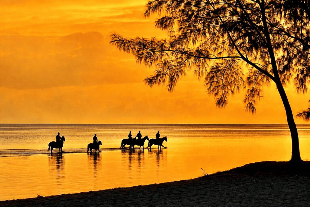 Riambel: Sunset Beach Horse Riding Experience