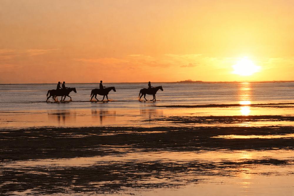 Riambel: Sunset Beach Horse Riding Experience