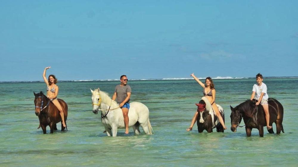 Riambel: Swimming With Horses Beach Experience