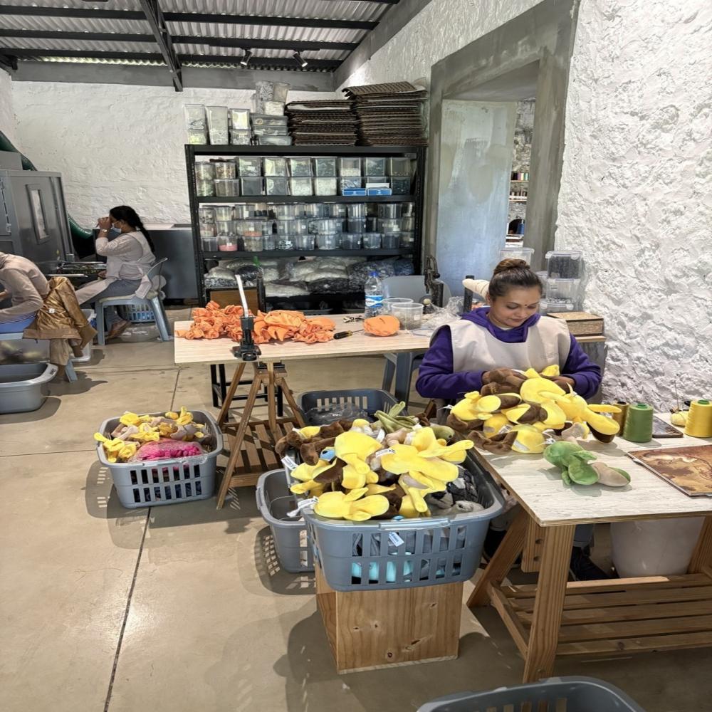 Mauritius: Grand Bassin, Alexandra Falls & Local Craft Factory