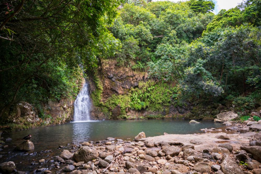 South Mauritius Waterfalls & Scenic Viewpoints Tour – Private Full-Day Experience