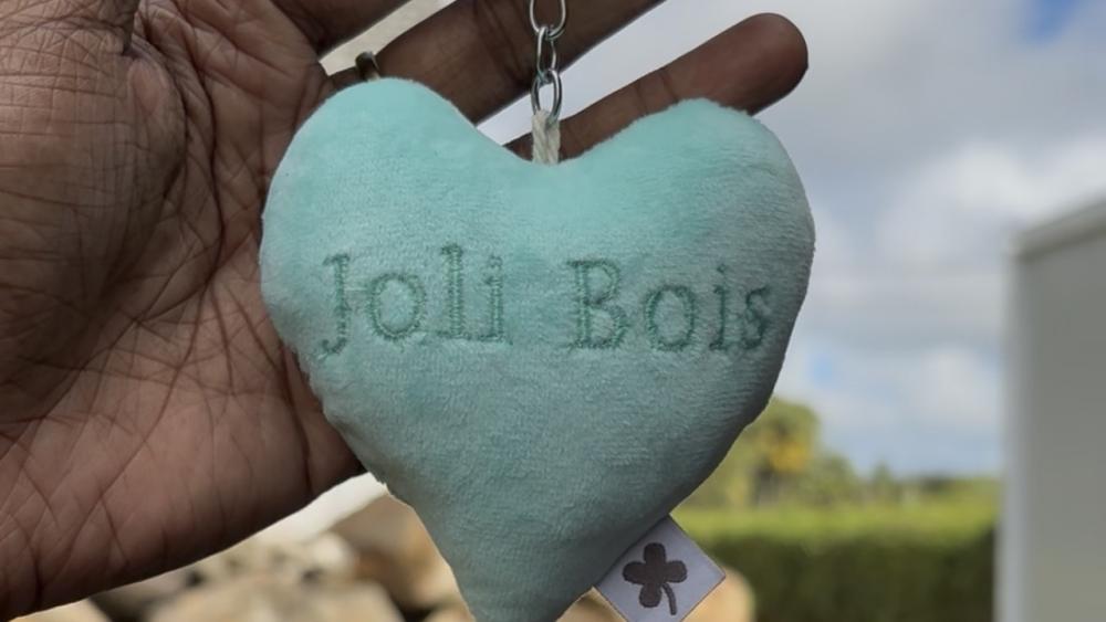 Grand Bassin, Chutes Alexandra & Fabrique d’Artisanat Joli Bois avec Déjeuner – Excursion Privée à l’Île Maurice