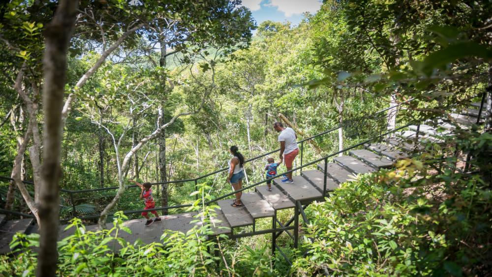Ebony Forest & Plage du Morne – Excursion Privée à l’Île Maurice