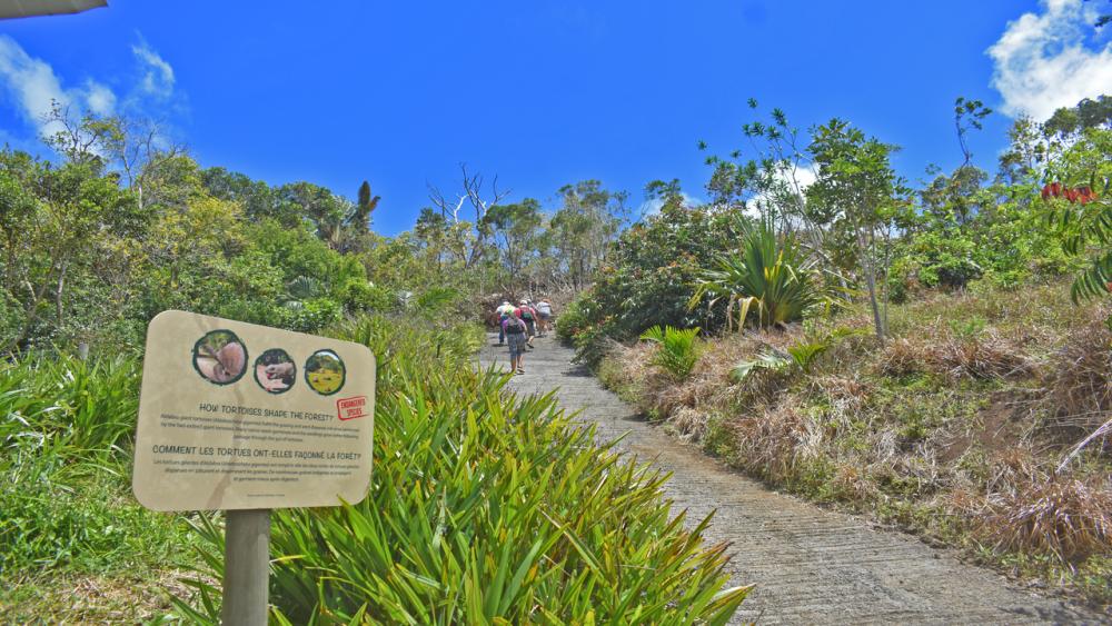 Ebony Forest & Plage du Morne – Excursion Privée à l’Île Maurice