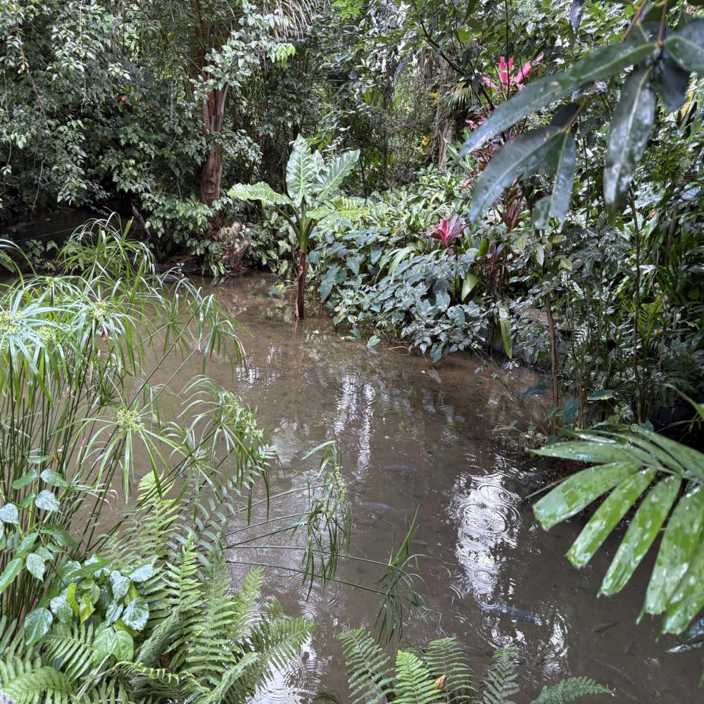 Bois Chéri Tea Factory, Joli Bois & La Vanille Nature Park with Lunch – Private Tour
