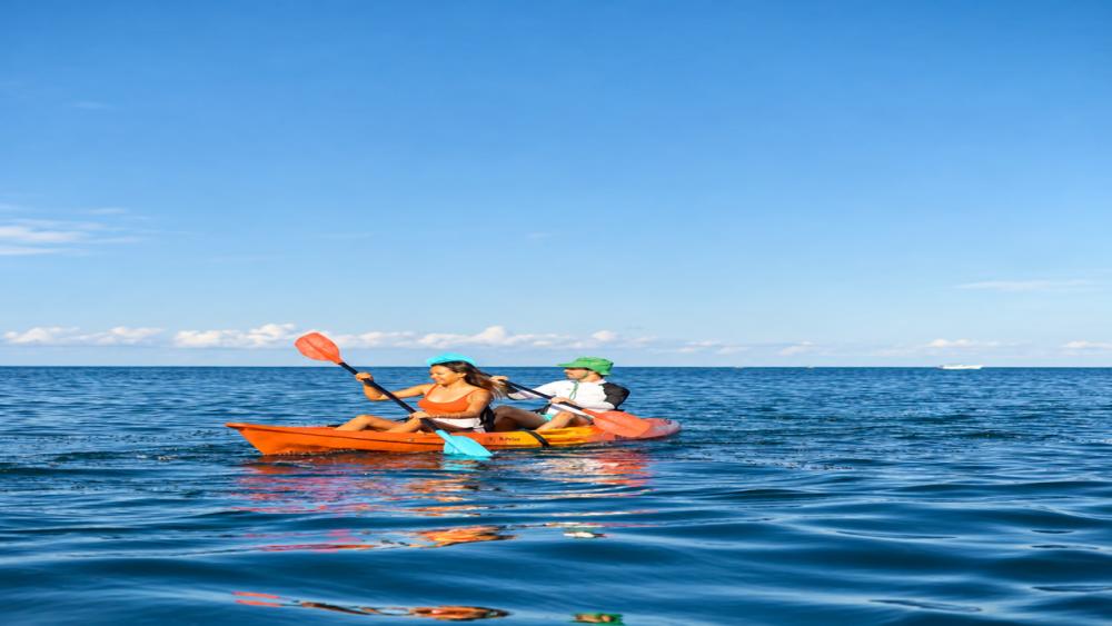 Morning Kayaking Adventure with Dolphins