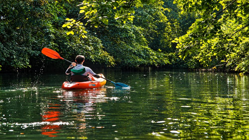 Kayaking on the Tamarin River – Nature Adventure