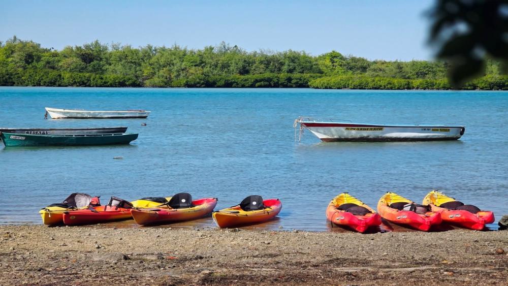 Île d’Ambre Kayaking Adventure – Mangroves & Island Discovery
