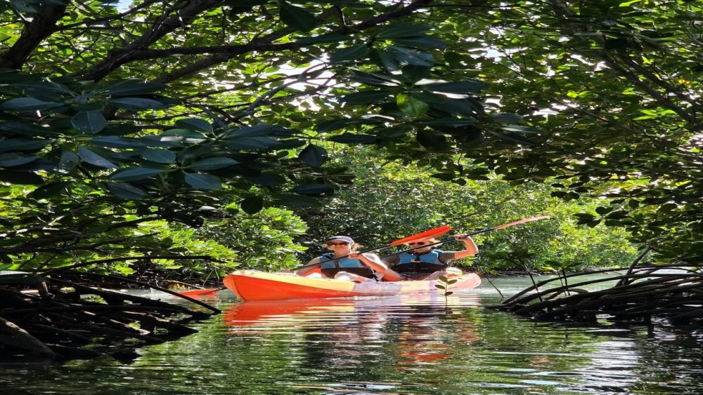 Île d’Ambre Kayaking Adventure – Mangroves & Island Discovery