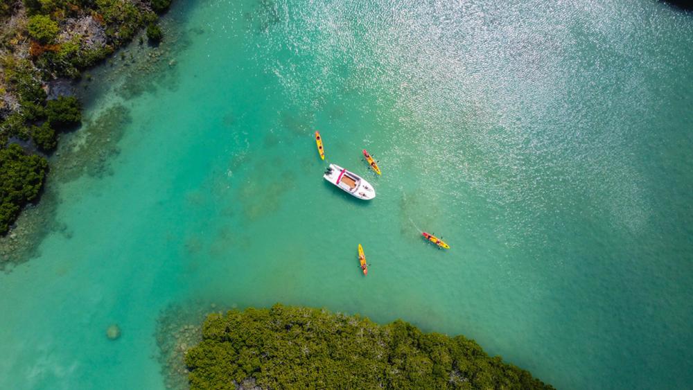 Île d’Ambre Kayaking Adventure – Mangroves & Island Discovery