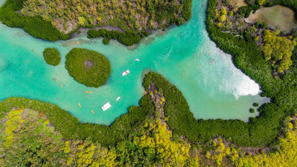 Île d’Ambre Kayaking Adventure – Mangroves & Island Discovery