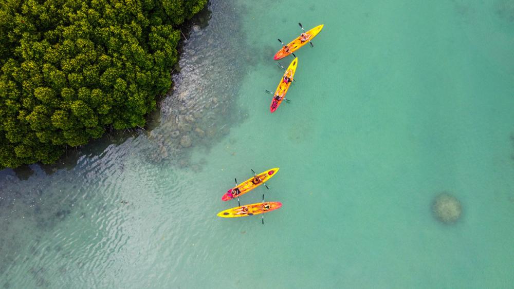 Île d’Ambre Kayaking Adventure – Mangroves & Island Discovery